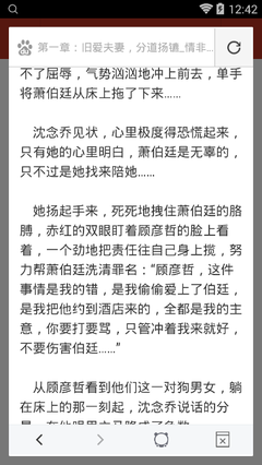 爱游戏体育资助罗马